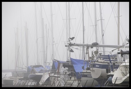 Boten in de mist...