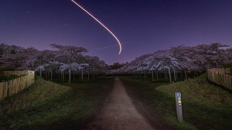 Road to Blossom Park