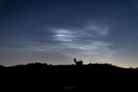 Lichtende nachtwolken met een hertje.