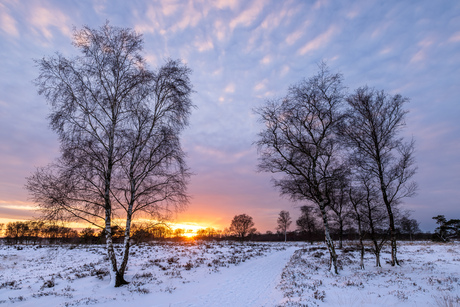 Winterlandschap