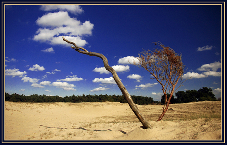 Kootwijkerzand