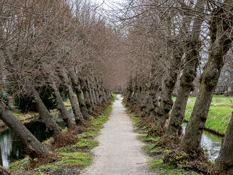 Veluwe 3