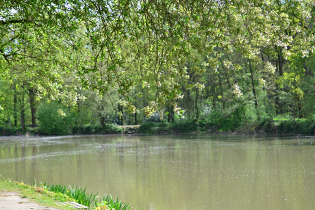 uitzicht op het water