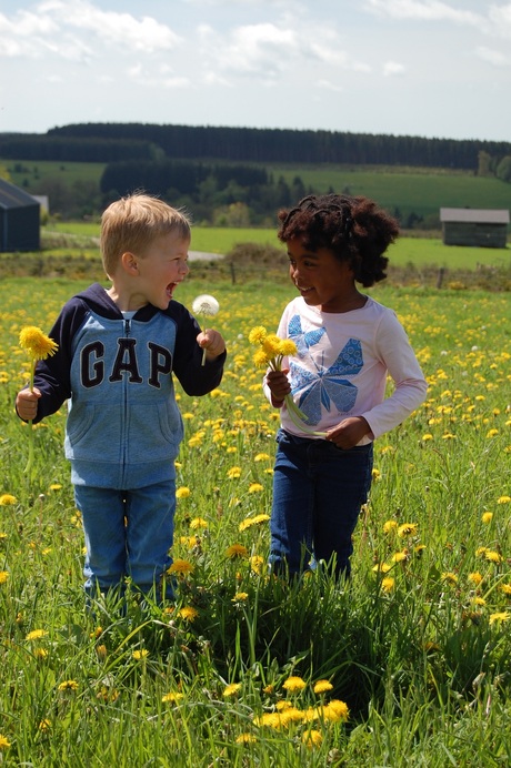 Bloemetjes en Vlindertjes