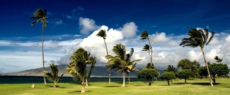 Kihei Beachpark, Maui HI