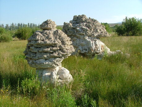 Mono lake