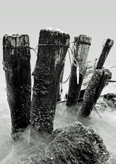 langs het ijsselmeer