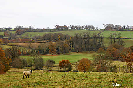 The Cotswolds