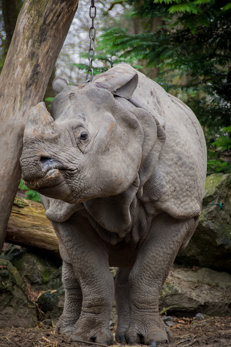 Dagje Dierenpark Amersfoort