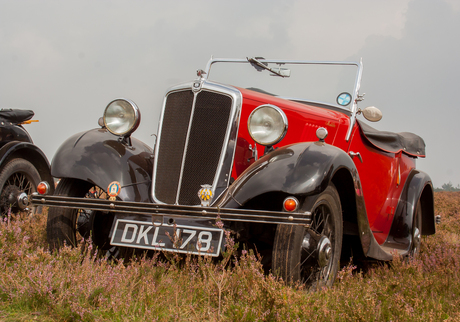 Red car on Ginkel heath