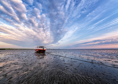 Low Tide