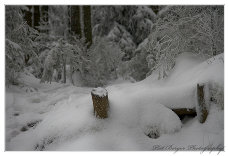 Trapjes naar winterland