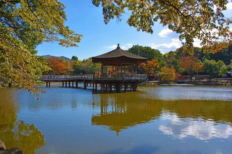 Nara Park Japan