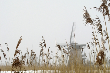 Kinderdijk 2005 (1)