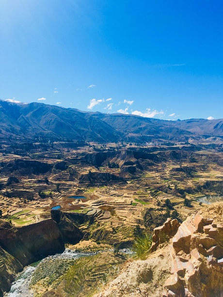 Colca Canyon | Arequipa | Peru