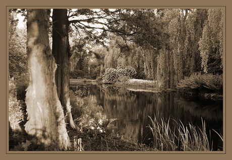 Natuurgebied &quot;De Baak&quot;