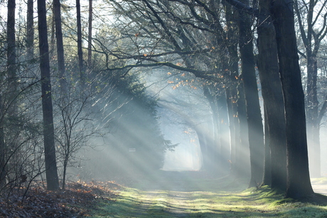 20210110120803_IMG_0661