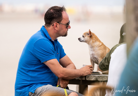 Table dog