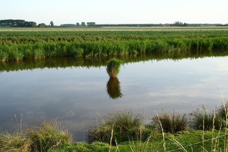 t,Grote Gat Oostburg