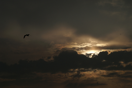 Zon achter de wolken