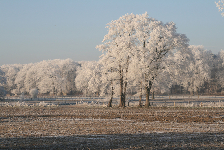 Winterstilte