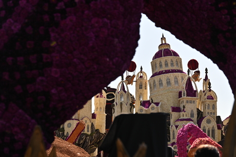 Bloemencorso Zundert maandag op tentoonstellingsterrein_4