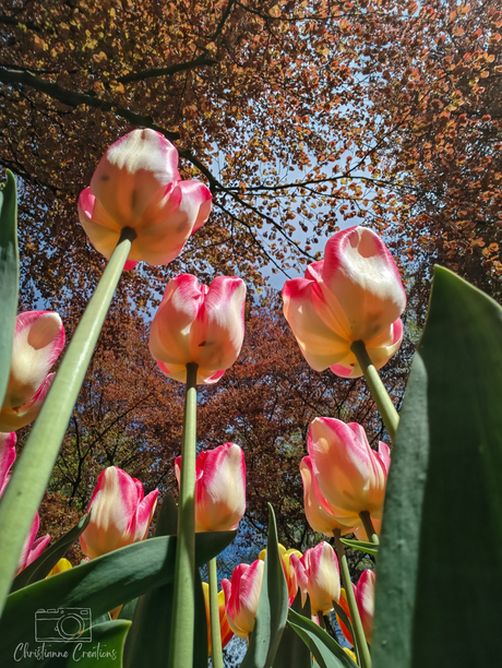 Soms is een nieuw perspectief alles wat je nodig hebt...