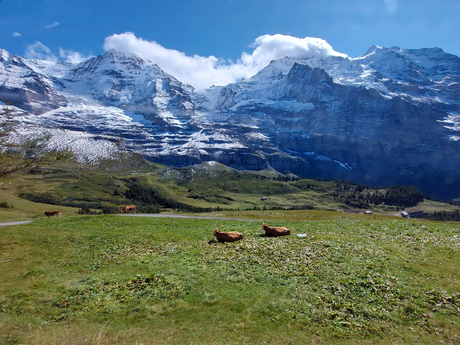 Kleine Scheidegg