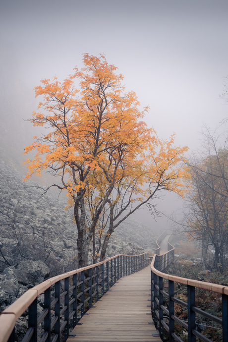 Herfst in Zweden