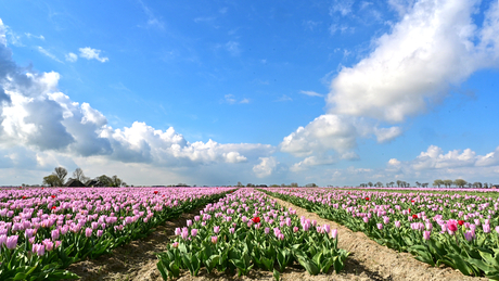 Wolken straten 