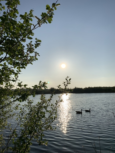 Zonsondergang in het water