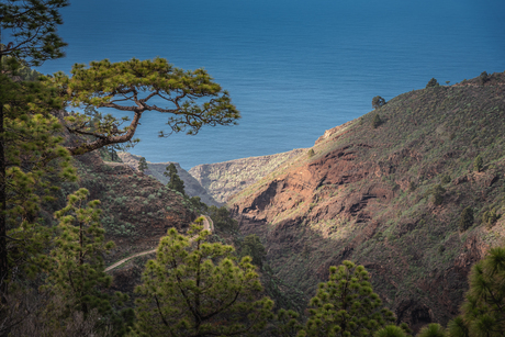 La Palma -Canarische Eilanden 
