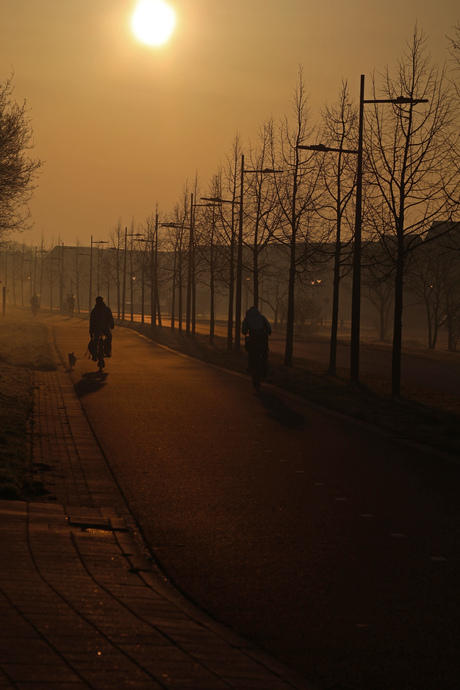 Bewegende schaduwen tijdens zonsopkomst