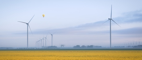 Luchtballon boven de tulpen