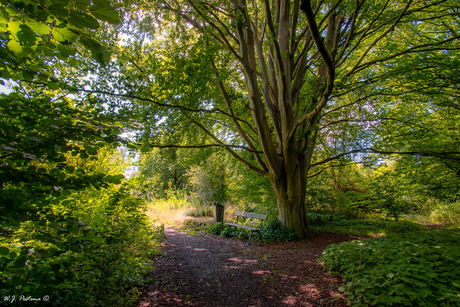 Stadspark.