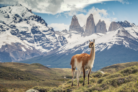 Torres del Paine