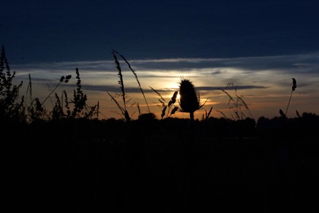 Zonsondergang in de Millingerwaard