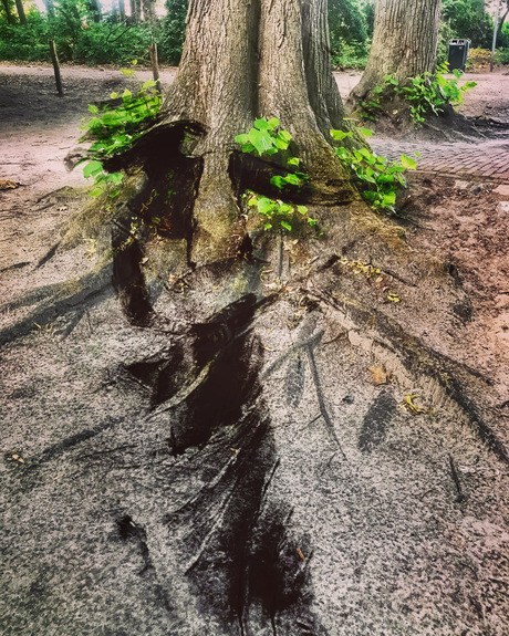 Naturelover
