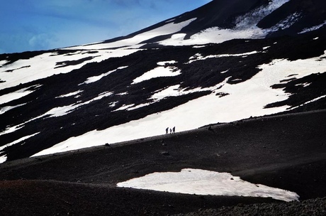 On their journey to the top!