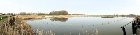 P1300292  SNEL pano   De Lier  Het  Kraaiennest   gebied  Gruttoplas   op 6 mrt 2026  