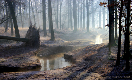 Wintermorgen nabij Oisterwijk