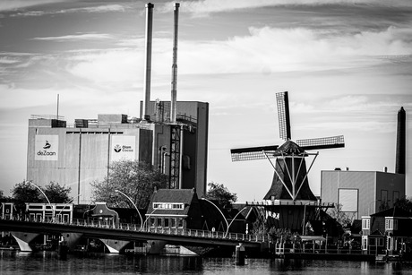 Still Standing Strong