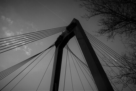 Willemsbrug Rotterdam