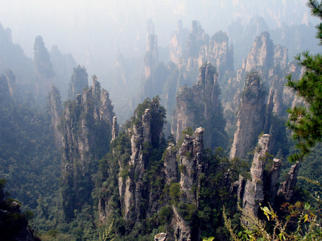 Natuurpark Zhangjiajie China