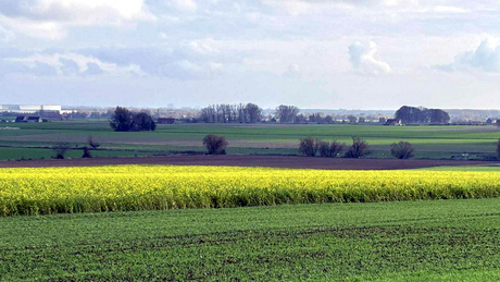 Landschap