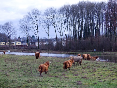 P3075256.jpg wacht op mij