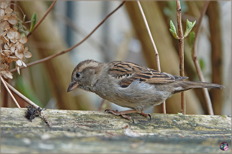 Wat ligt daar nu …