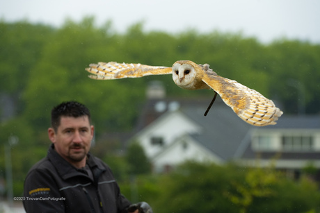 FLIGHT