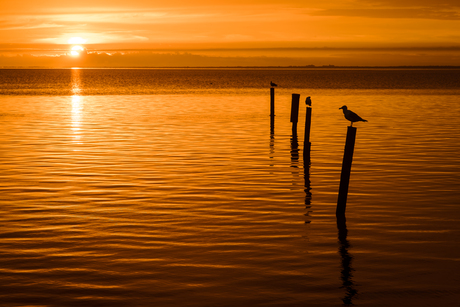 Zonsondergang Norddeich