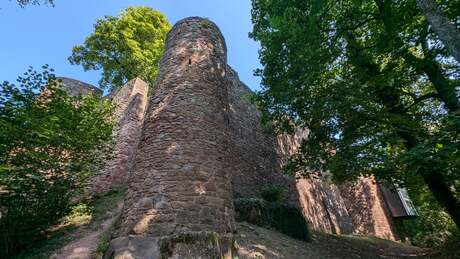 Duitse kastelen in het zwarte woud